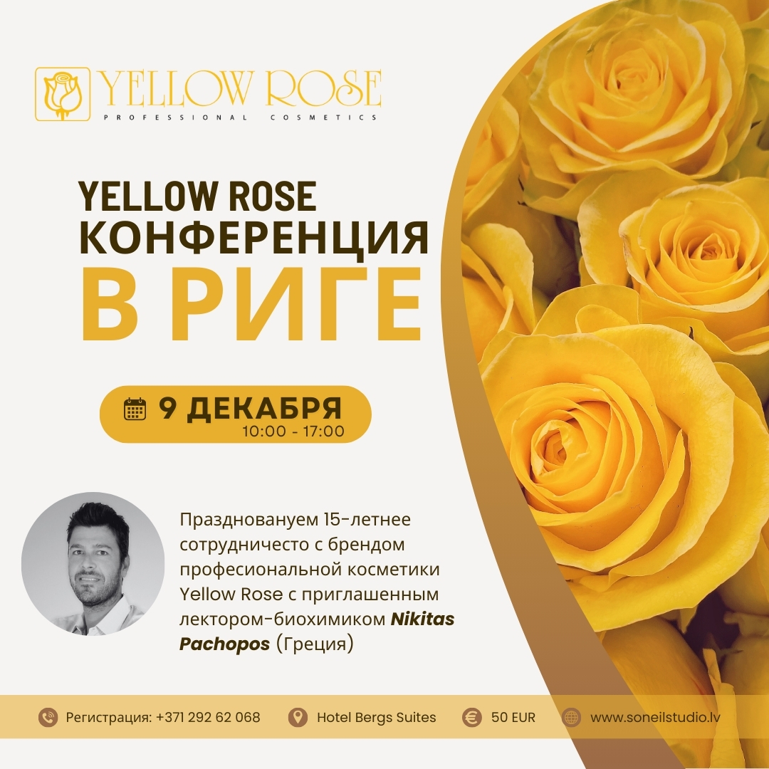 konference yellow rose