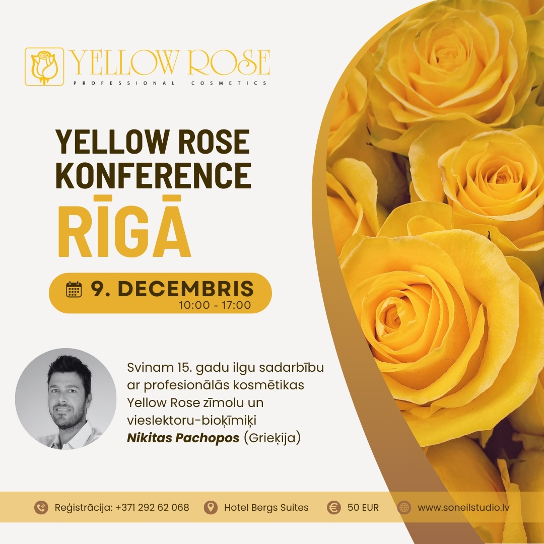 konference yellow rose